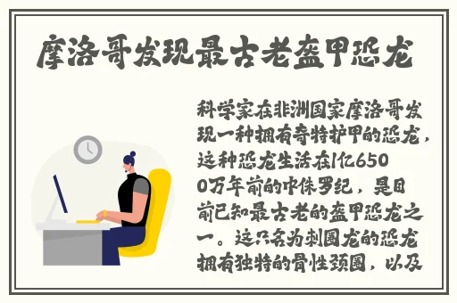 **国际视频2017