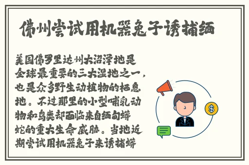 十八岁禁不禁